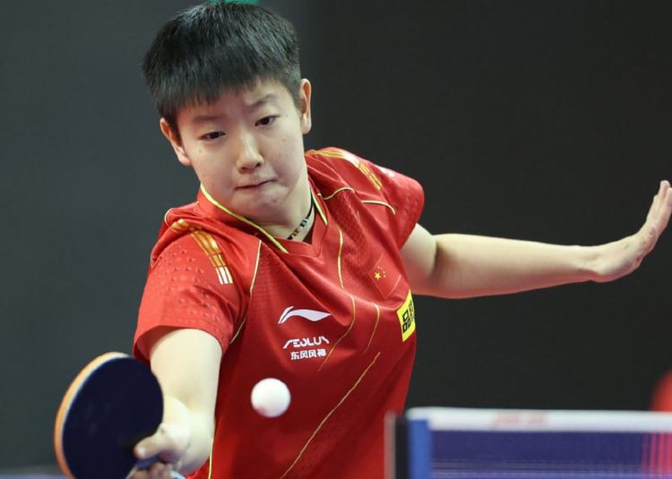 每一个因素 每一个因素